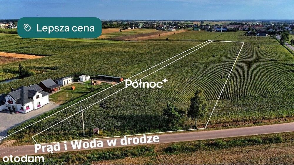 Działki budowlane w Brańsku.