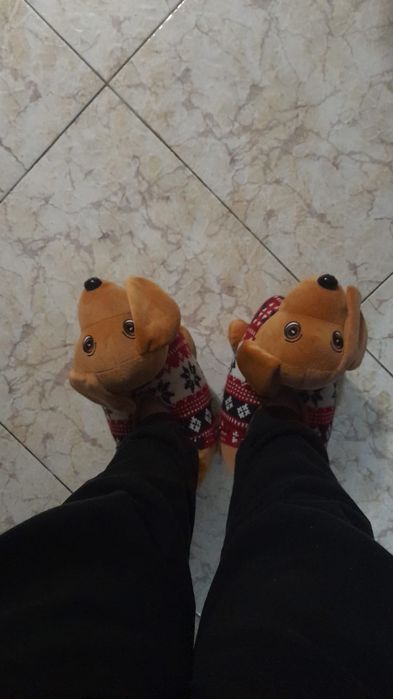 Pantufas novas com etiqueta