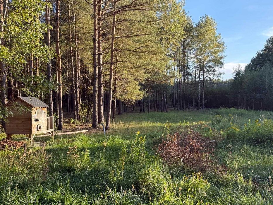 Wyjątkowa działka leśno-budowlana 4253 m² z gotowym biznesem – Warszawa Wesoła (Stara Miłosna) - Widok 2