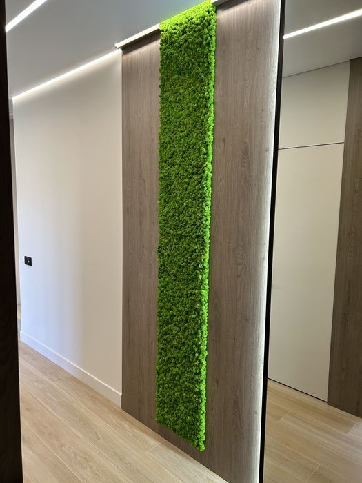 Панелі з мохом стабілізованим, мох, озеленення мохом.