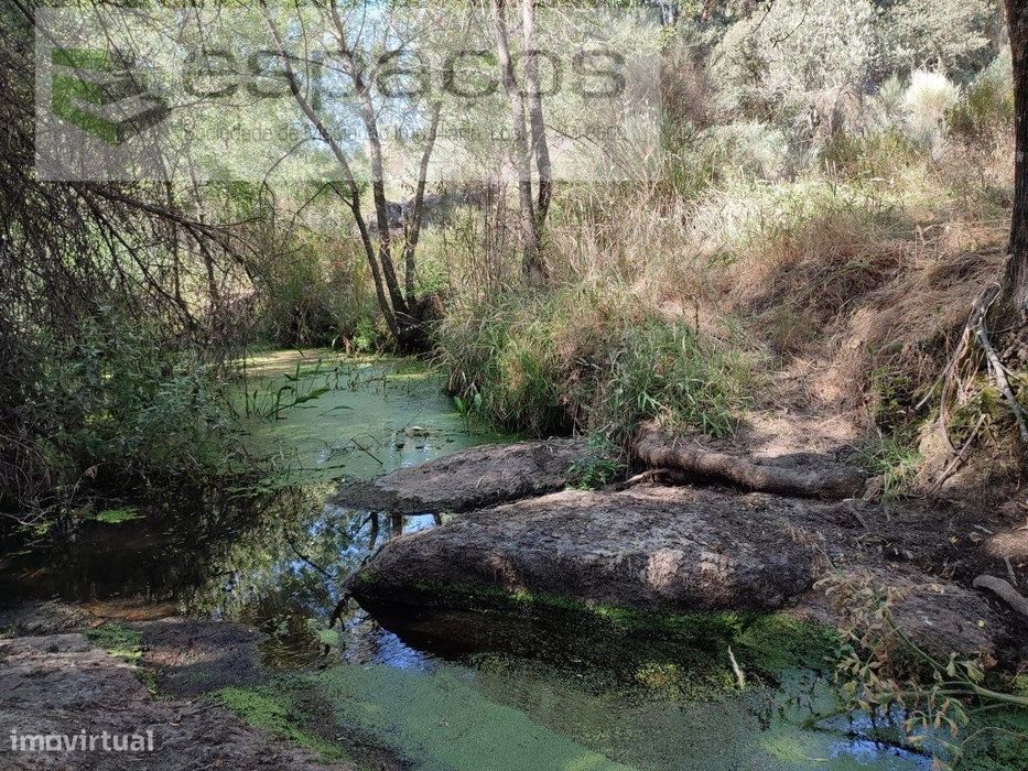 Terreno Rústico com 7 Hectares — Escalos De Baixo E Mata, Castelo Branco