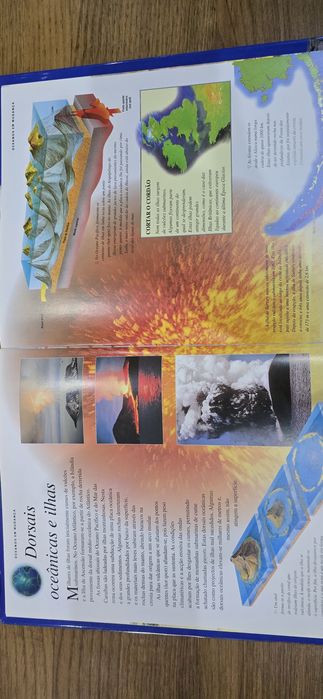 Livro educativo " O Grande Livro dos Oceanos"