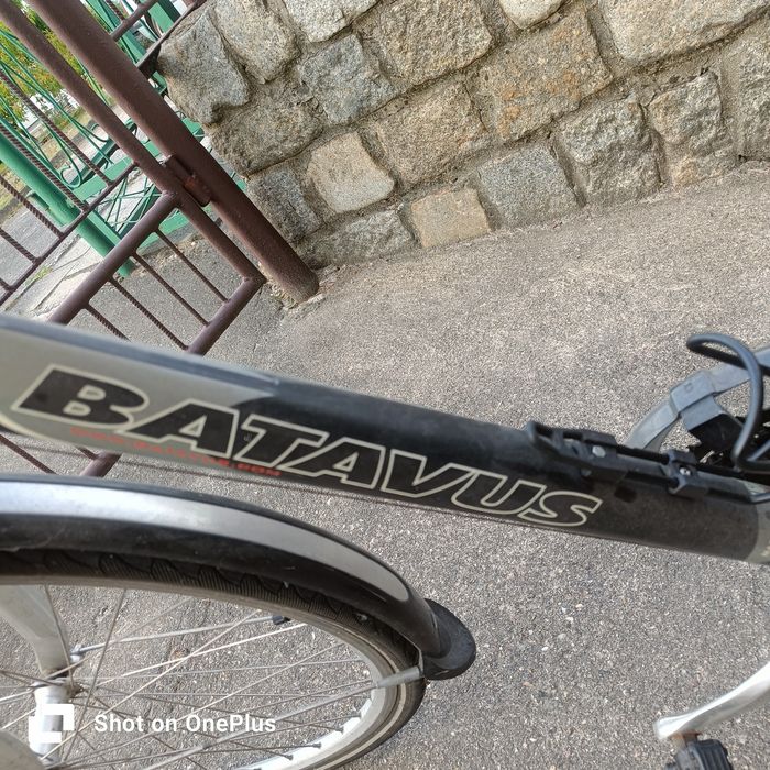 Rower batavus compass