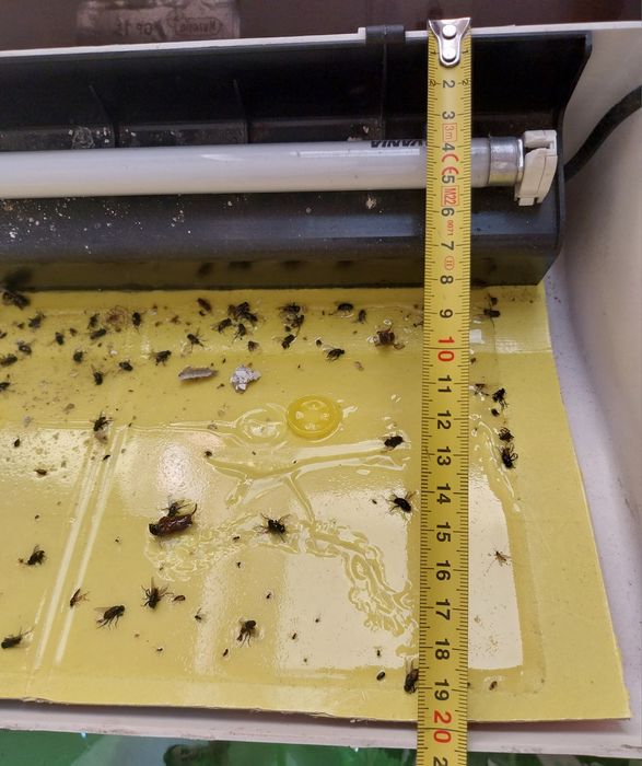 Aparelho de matar moscas e mosquitos