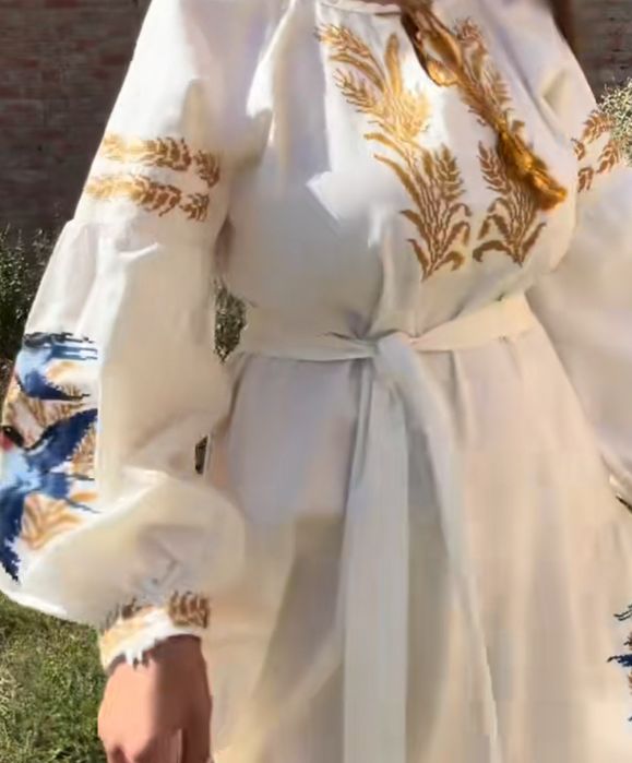 Вишита сукня сукня ластівка вишиванка