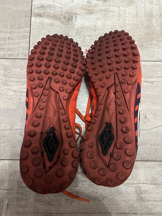 Сороконіжки umbro medusae