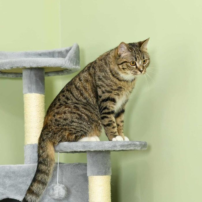 PORTES GRÁTIS - Arranhador para gato, rascador, cat tree 60x60x200cm