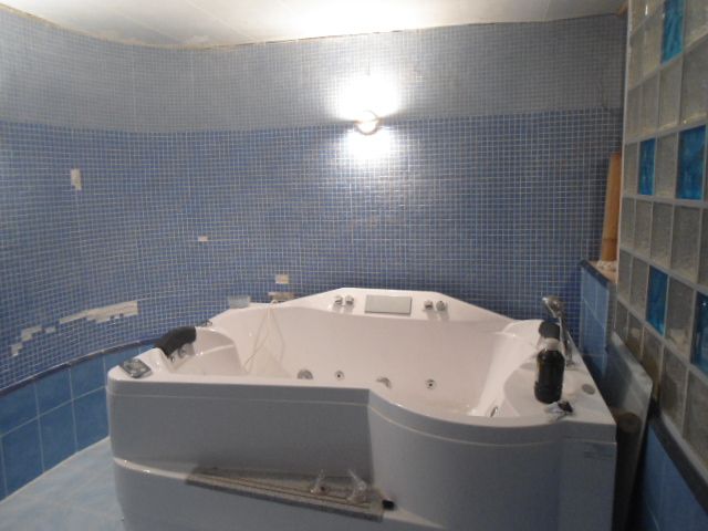 Євідновлення.Продажа дом имение с Маковище 250м+100м гостевой, водохра