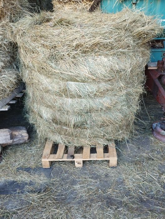 Siano baloty łąkowe nie szuwary