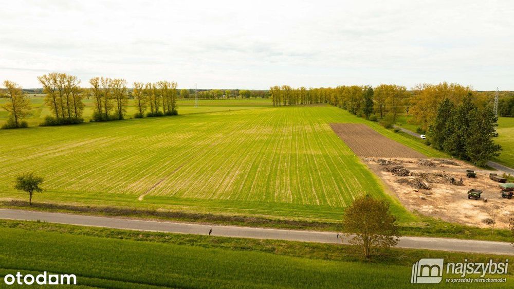 Dąbrowa Nowogardzka-działki z warunkami zabudowy