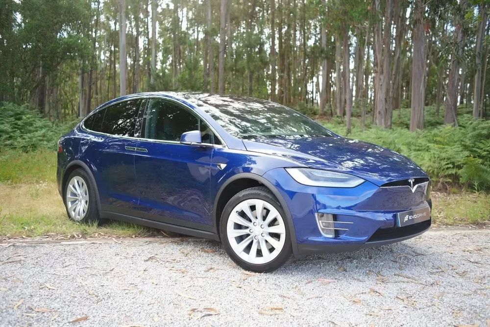 Tesla Model X 75D477056063001733124