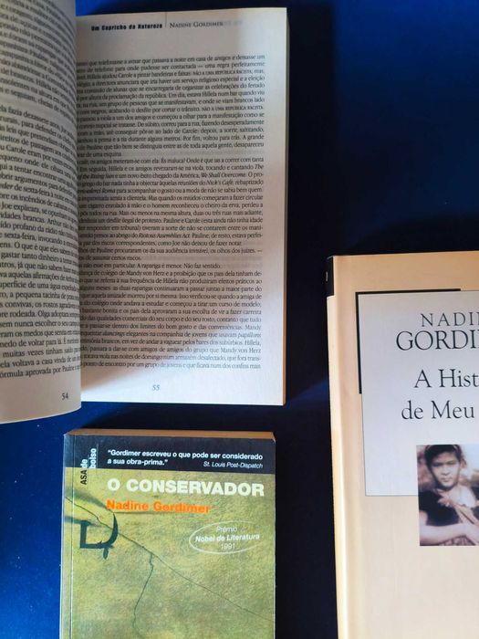 Lote Nadine Gordimer - 3 Livros (Prémio Nobel da Literatura)