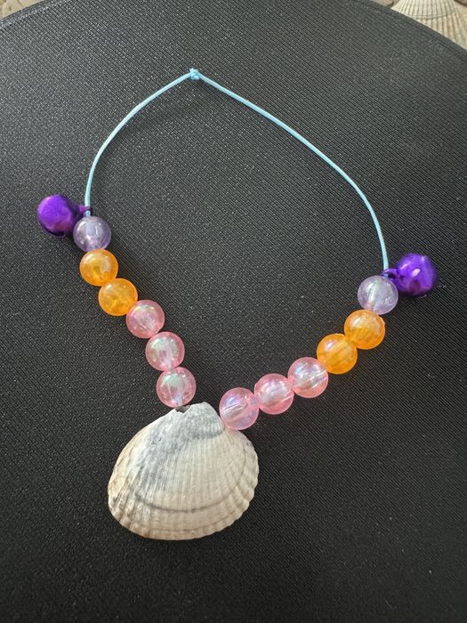 Pulseira e colar artesanal de conchas