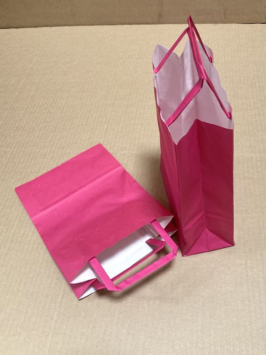 Sacos de Papel com Asa Plana