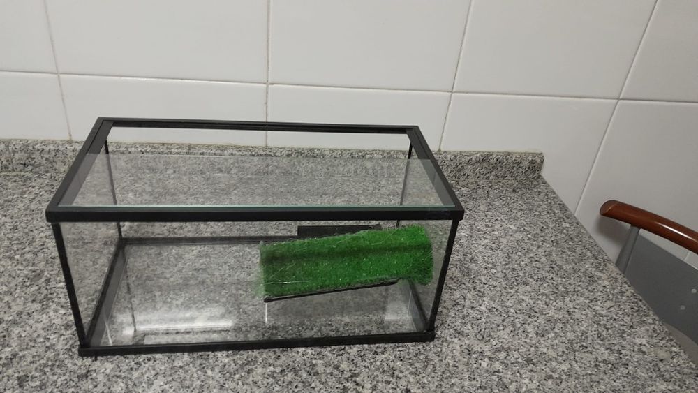 Aquário para tartaruga/cágado e com proteção em vidro.