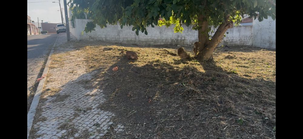 Eu faço limpeza de terrenos, quintais, garagens etc. zona da sobreda e arredores