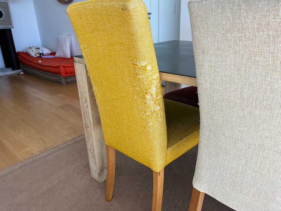Dining Table + 6 Mixed-Colour Chairs