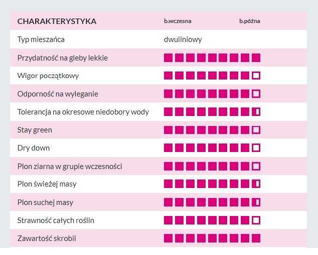 Kukurydza CODIZOUK - Rekord Polski Kiszonka Nasiona Kukurydzy IGP
