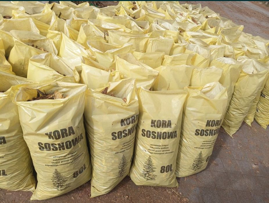 Świeża kora sosnowa