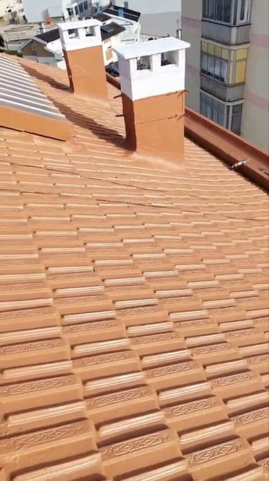 Lavagem e revitalização de telhado – 800€ com material