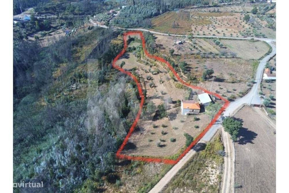 Quinta 14070 M2 | 62500 | Para Recuperar | Vistas Panoramicas | 35Km C — Lavegadas, Coimbra