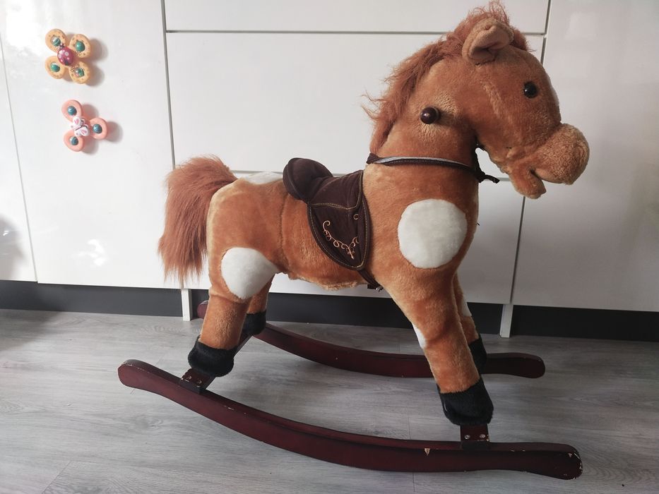 Konik na biegunach