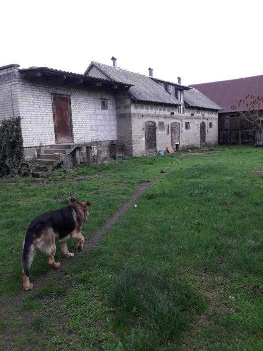 Siedlisko, dom , 2 wejścia oraz budynki gospodarcze z działką 91 arów, 68 km od Warszawy.