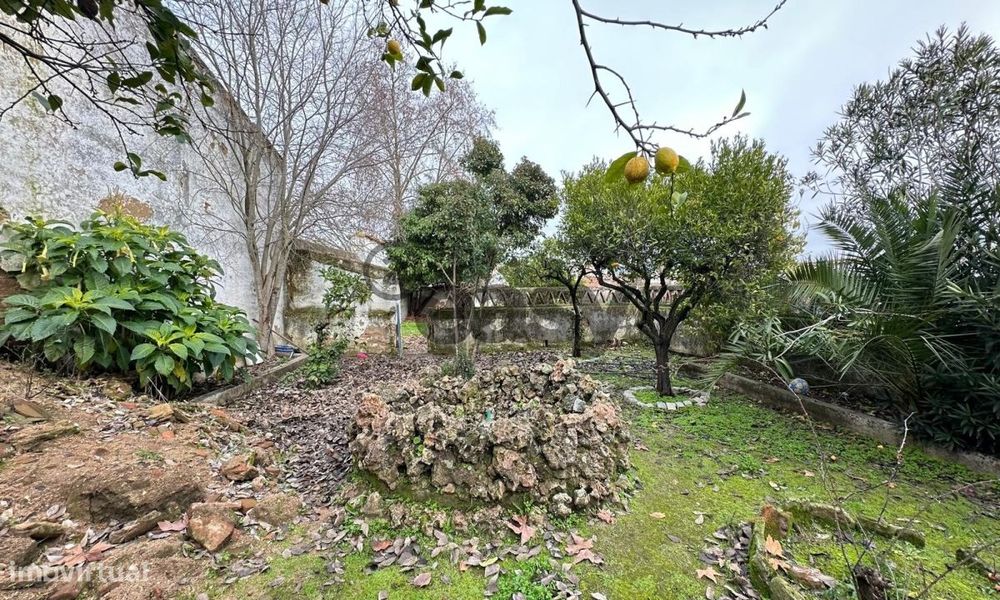 Casa Senhorial com 20 divisões na Vidigueira