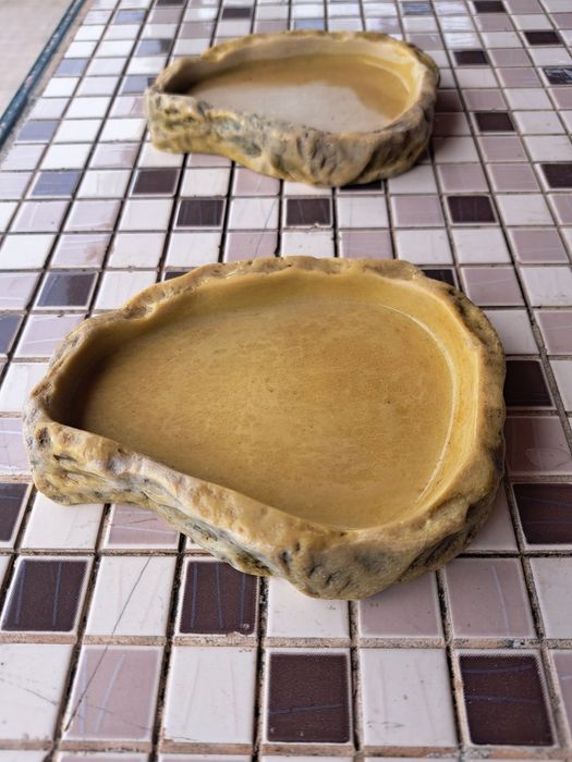 Comedouro para répteis