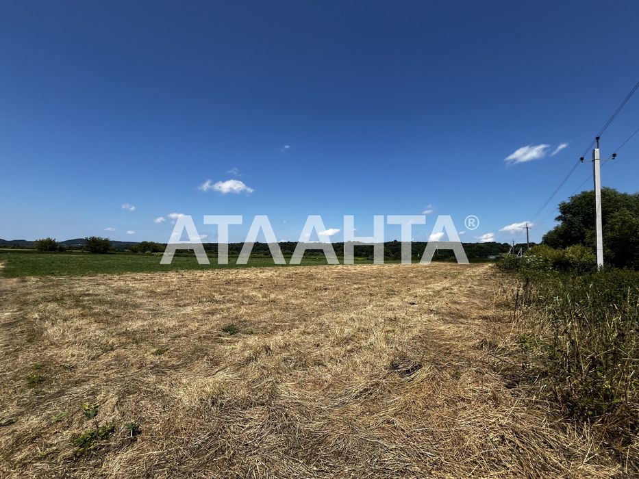 Продаж земельної ділянки у Чишках