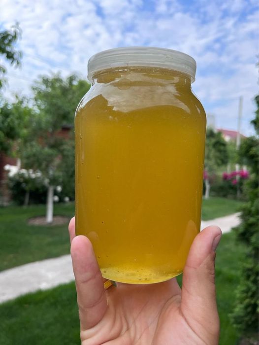 Мед акацієвий, весняний, соняшниковий