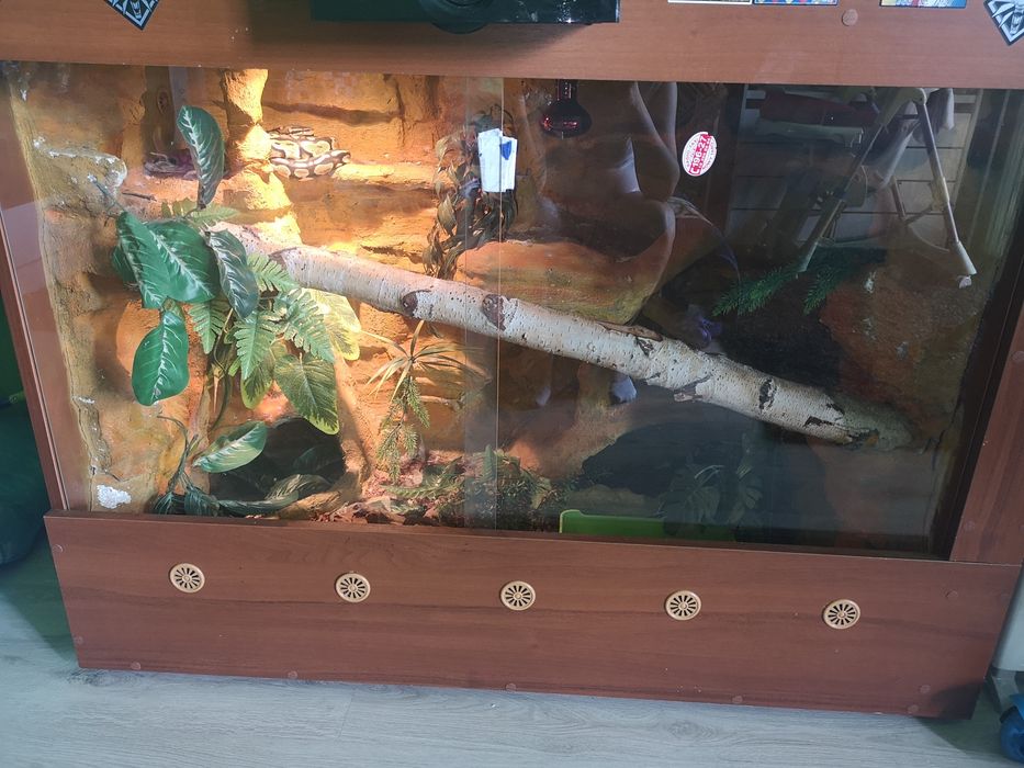 Terrarium