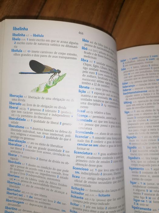Dicionário Ilustrado da Língua portuguesa da Porto Editora