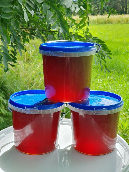 Мед гречка + ліс