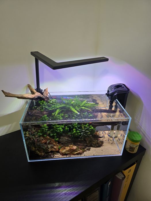 Aquario completo 36×22×18 cms