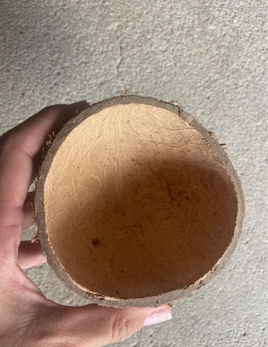 Vendo metades de casca de coco