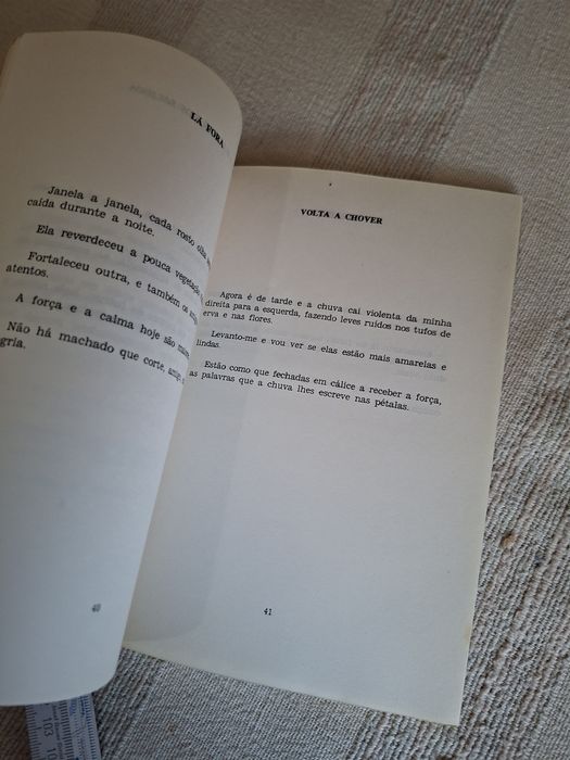 Prisão e Isolamento em Caxias por Modesto Navarro