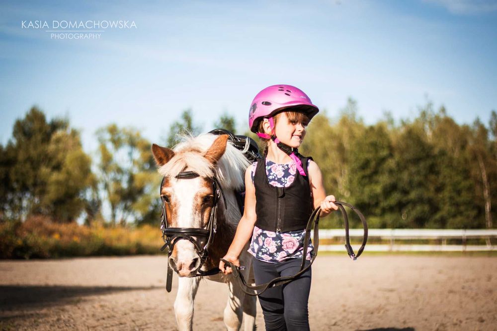 Kucyk na urodziny, wesele i event — z instruktorem i dojazdem