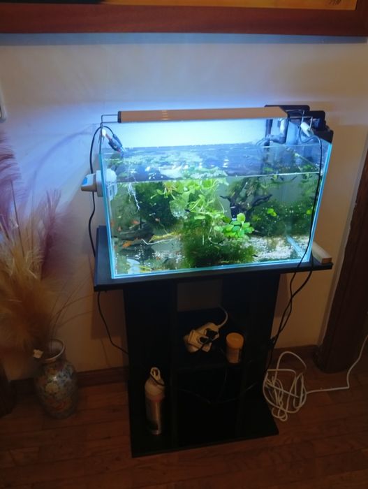 Vendo  aquários e filtro