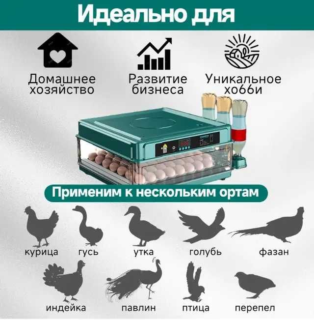 Распродажа! Инкубатор автоматический 12-220В Птаха Інкубатор + овоскоп