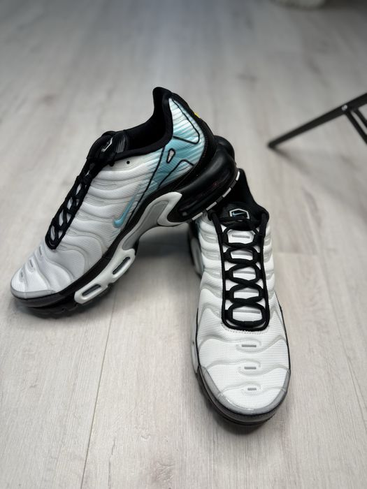 Чоловічі кросівки Nike Air Max Plus HV6225-100
