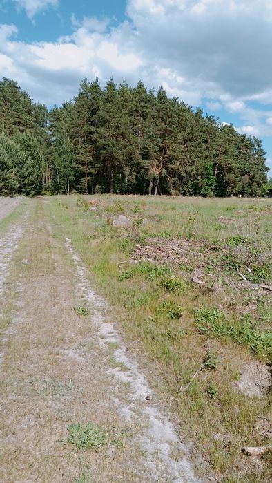 Sprzedam nieruchomość gruntową - Widok 5