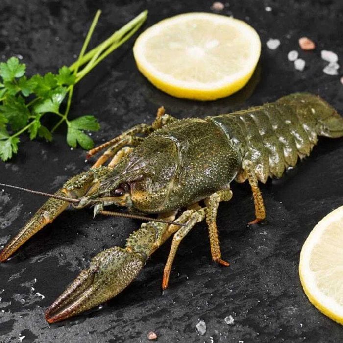 Раки охолоджені великі до 15 шт/кг (90-110грам/штука)