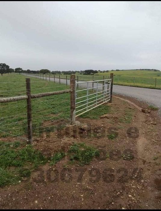 Vedações agrícolas e vinhas
