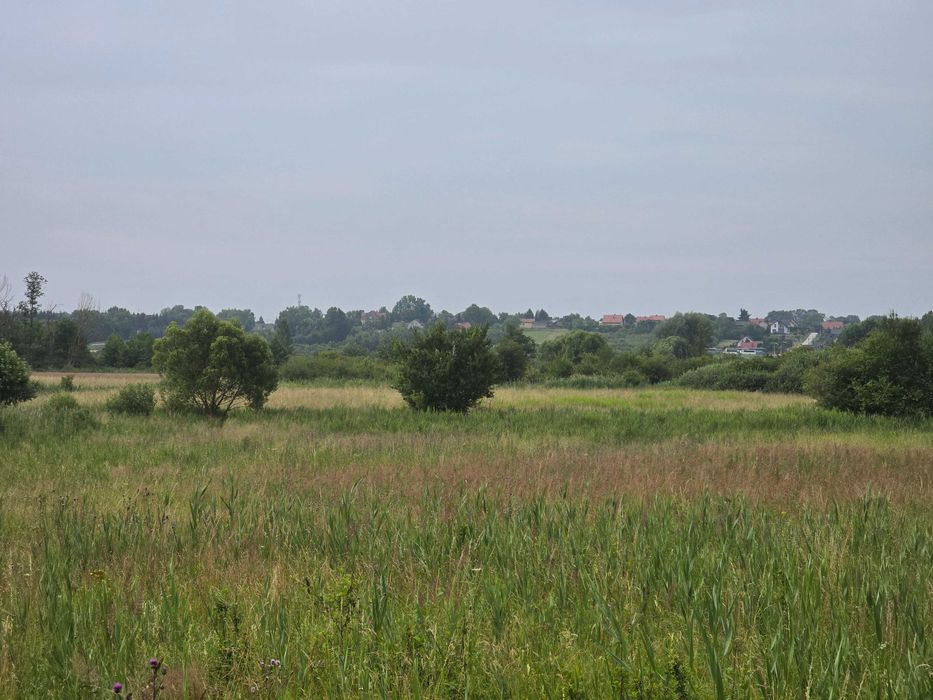 Działka pod staw i rekreacje 1.11ha - Mikułowice k.Buska-Zdroju - Widok 3