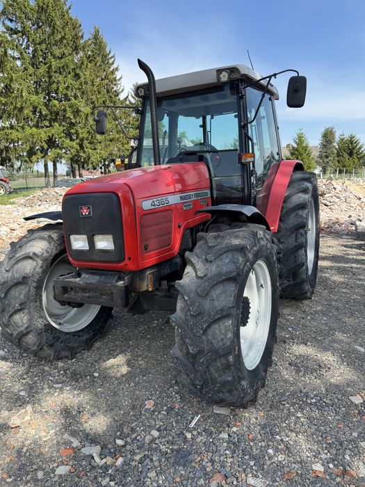 massey ferguson 4365 SUPER STAN