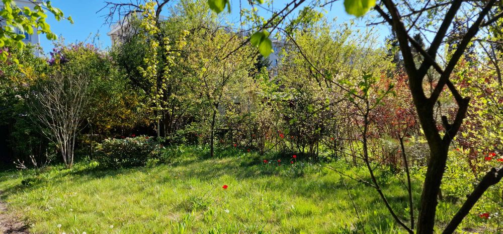 Działka ROD na sprzedaż – Mokotów, ROD Obrońców Pokoju