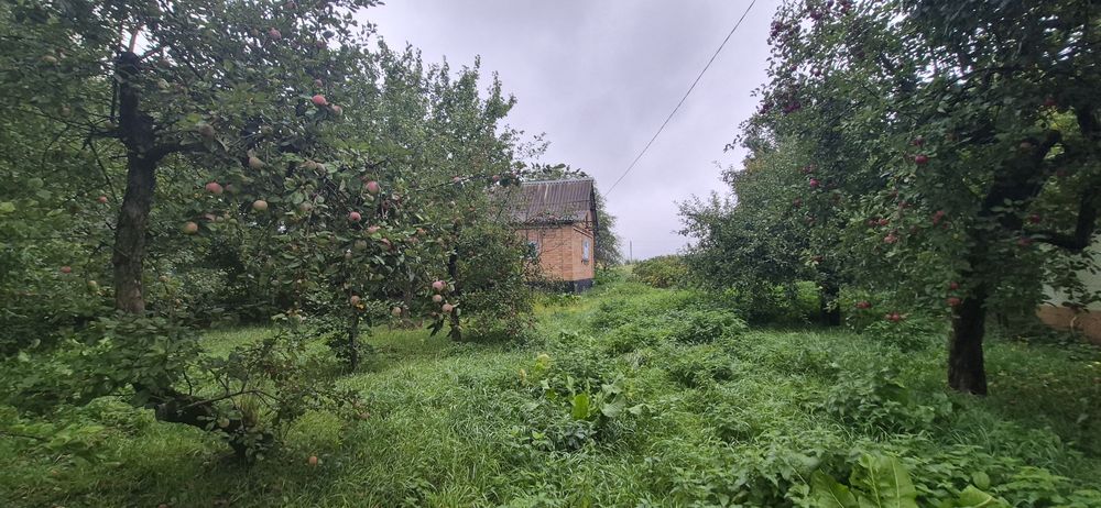 Продам будинок , земельний участок 22 с