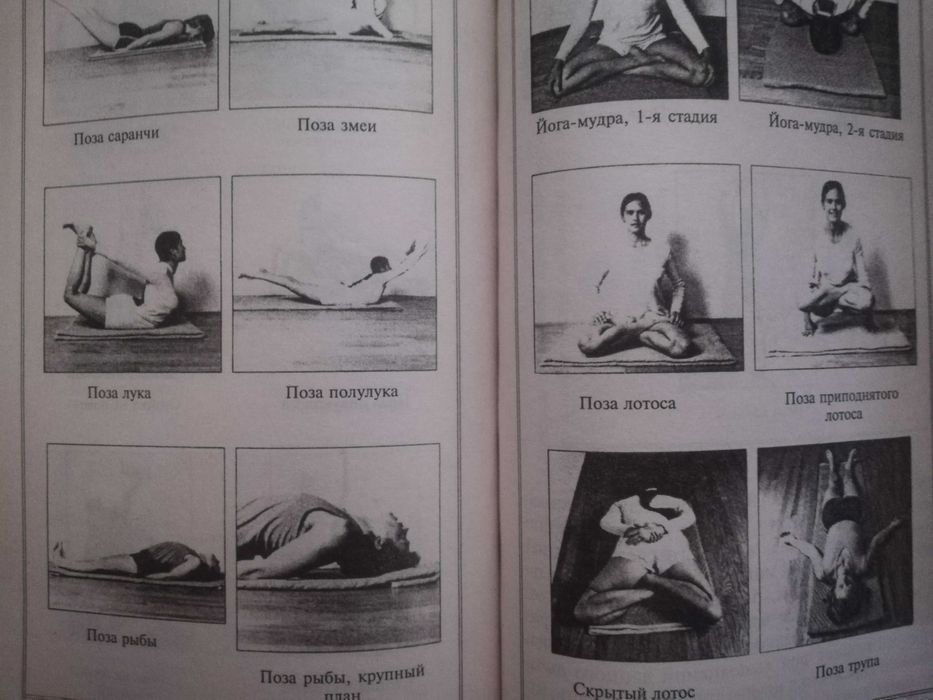 Лад Васант. Аюрведа,. Древнейшая наука самоисцеления и долголголетия