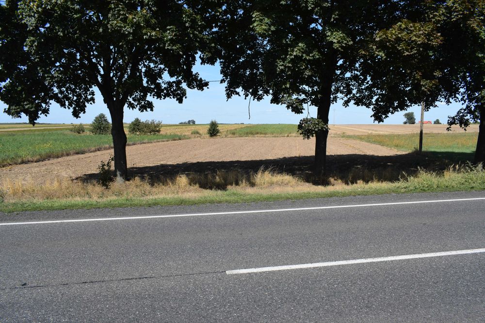 Nieruchomość w Czekanowie 25.400m2 - pilnie sprzedam